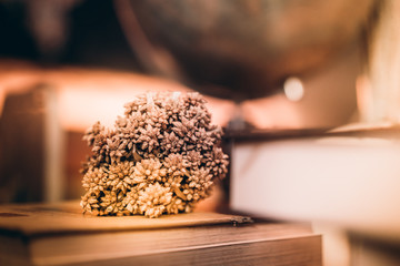Dry flower on old books and blur world desk globe on wooden table, vintage, learning and education concepts.