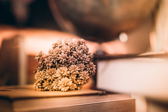 Dry flower on old books and blur world desk globe on wooden table, vintage, learning and education concepts.