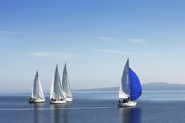 Foto op Plexiglas sailing © dan
