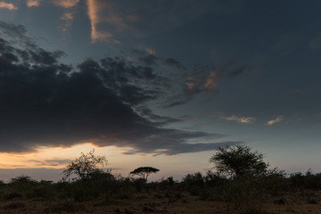 Sonnenuntergang über der Serengeti