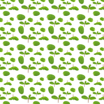  pattern sprig of green fresh mint