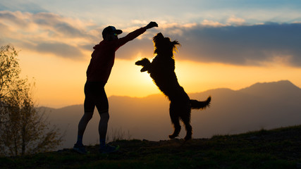 Big dog he gets up on two paws to take a biscuit from a man silhouette with background at colorful...