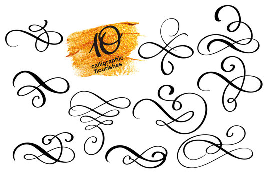 Vector set of calligraphic design flourish elements and page decorations. Elegant collection of hand drawn swirls and curls for your design