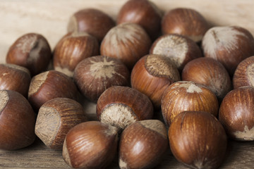 Mature Hazelnuts