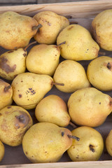 Yellow Pear for Sale on Market Stall; Bordeaux