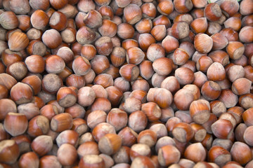 Hazelnuts for Sale on Market Stall; Bordeaux