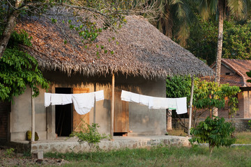 Beautiful lodge in rainforest