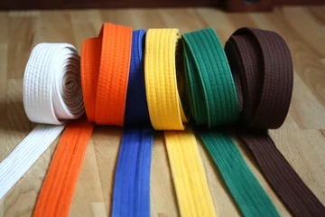 Printed roller blinds Martial arts Martial Arts Colorful Karate Belt