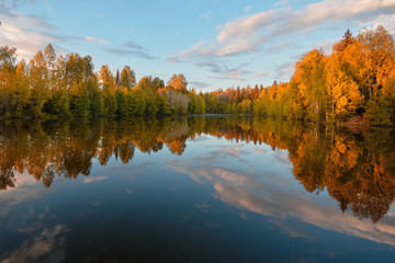Autumn. Reflection of trees in water