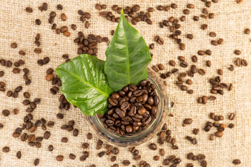 Transparent jar of coffee beans