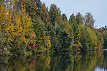 Fototapeta na wymiar Autumn. Reflection of trees in water