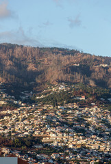 Fototapeta premium Panoramic view of Funchal on Madeira Island. Portugal