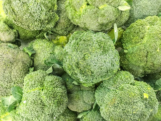 Closeup surface pile of fresh broccoli textured background