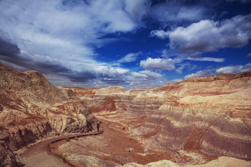 Petrified forest