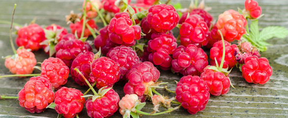 Autumn ripe raspberries on a vintage wooden background. The concept of health and proper nutrition.