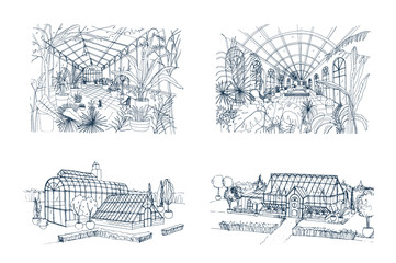 Bundle of freehand drawings of greenhouses full of jungle plants. Set of sketches of glasshouses with palm exotic trees growing in pots. Interior and exterior views. Monochrome vector illustration.