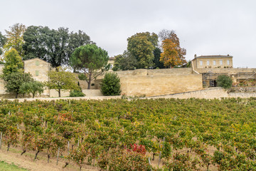 Autumn sunset on vineyards around Saint-Emilion with hills grapes and trees