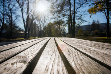 Fototapeta na wymiar Park wooden bench