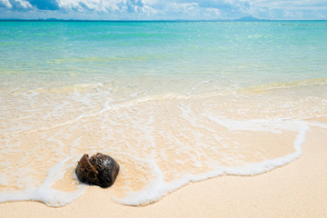 close-up of an old coconut in the sand washed by sea water, Poda island, Thailand