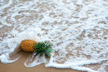 pineapple fallen by ocean wave