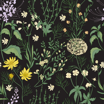Elegant floral seamless pattern with gorgeous hand drawn wild flowers, tender flowering herbs and herbaceous plants on black background. Botanical vector illustration in beautiful antique style.