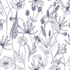 Hand drawn monochrome floral seamless pattern with gorgeous vintage wild flowers, herbs and herbaceous plants on white background. Botanical vector illustration in antique style. - obrazy, fototapety, plakaty