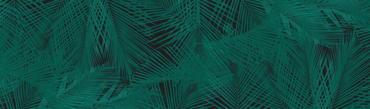 Tropical palm leaves, good for interior design