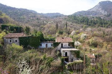 Fototapeta na wymiar stone houses overgrown with ivy on mountain