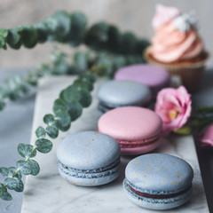 Pastel macarons or macaroon on marble table with pink flowers. French pastry. Selective focus