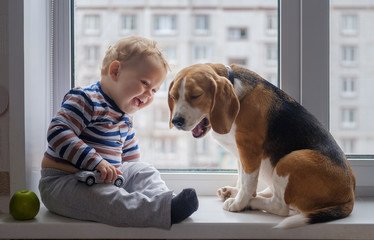 boy and Beagle dog sit together on the window sill