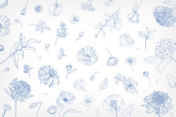 Beautiful horizontal backdrop with scattered blooming garden flowers, leaves, buds, inflorescences hand drawn with blue contour lines on white background. Elegant botanical vector illustration.