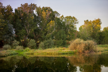 The river with a quiet current