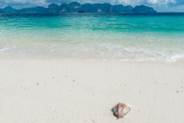in the foreground an old coconut nut on the beach, a beautiful landscape