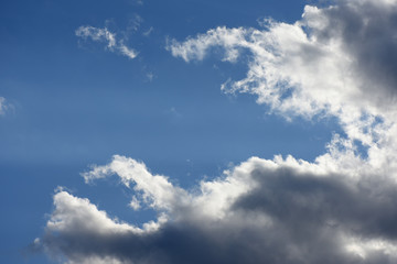 Obraz premium 青空と雲「雲の風景」（空に伸びる触手、訴求、求める、追求するなどのイメージ）