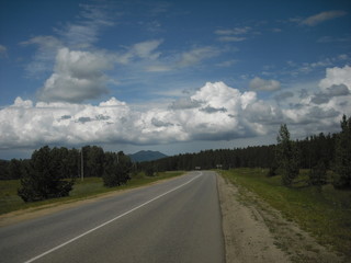 Winding asphalt road through a forest  turns sharply to the left