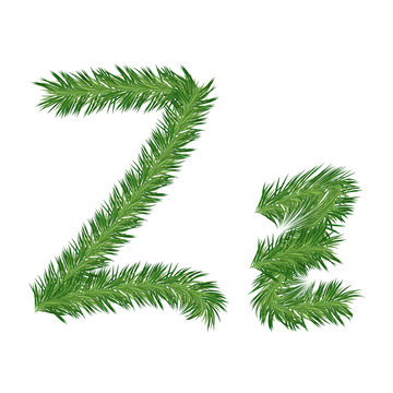 Pine or Fir Tree Letter z