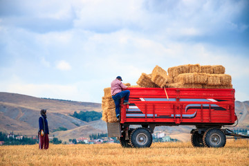Obraz premium Tractor on the filed