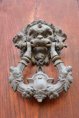 Poignée de porte cochère à tête de lion et feuilles