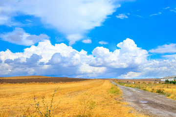 Obraz premium Wheat field and cloud sky