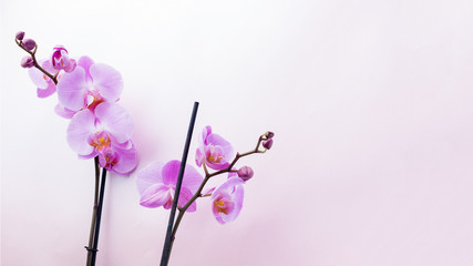 Fototapeta na wymiar Beautiful purple orchid flowers on light background with copyspace for text, top view, flat lay