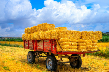 Hay wagon with hay bales on wheat field © nakedking