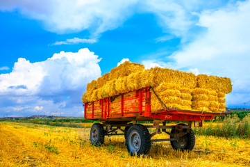 Hay wagon with hay bales on wheat field