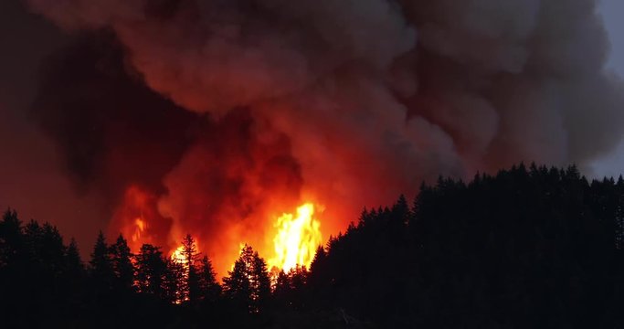 Large forest fire burns the tree covered side of a mountain near Portland Oregon