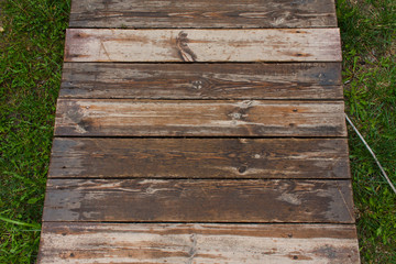 Fototapeta premium texture of untreated wood in natural conditions