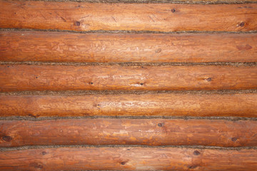 texture of untreated wood in natural conditions