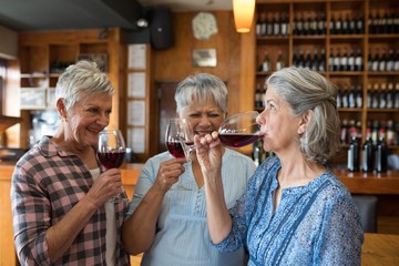 Female senior friends having red wine in restaurant