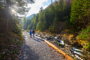 Mountaing trail in beautiful forest near Zakopane, Poland