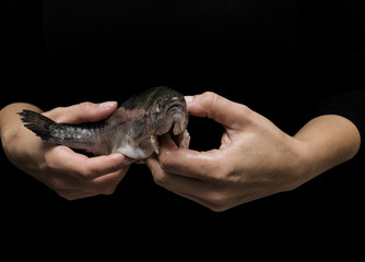 woman holds a raw trout in her hands, on a black background