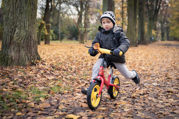 Kid boy of 5 years having fun in autumn park with a bicycle on beautiful fall day. Active child wearing warm cloth. Sports, leisure with kids concept.