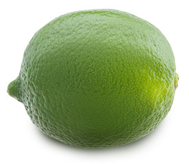 One lime Isolated on white background